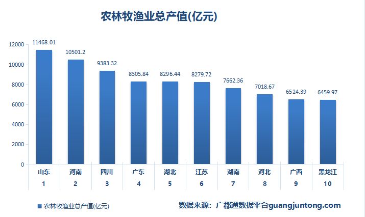 蛙农问答站